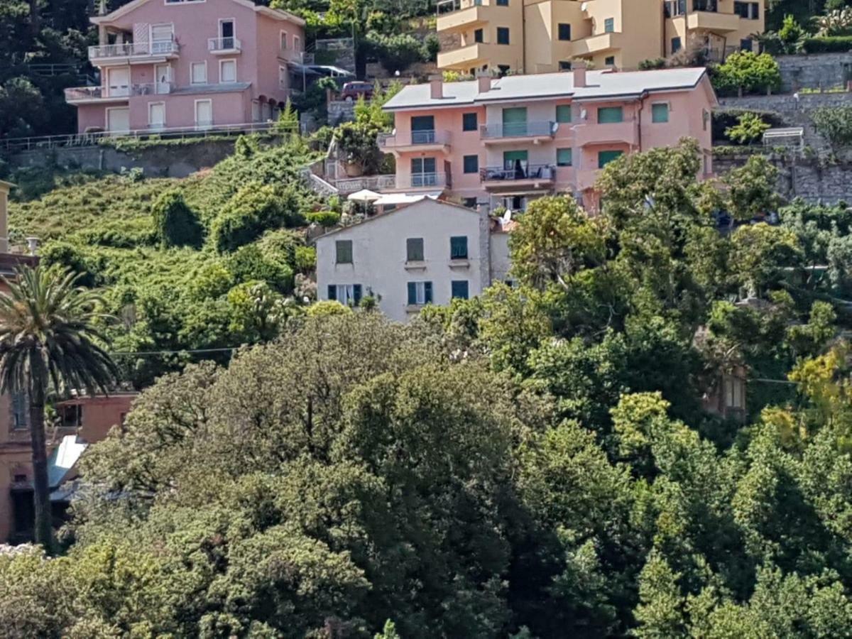 Ai Pastelli Apartment Zoagli Exterior photo